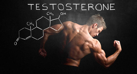 TESTOSTERONE: THE NEED-TO-KNOW BASICS